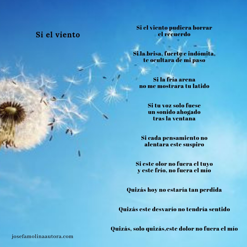 Si el viento